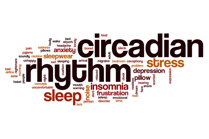 Circadian Rhythms