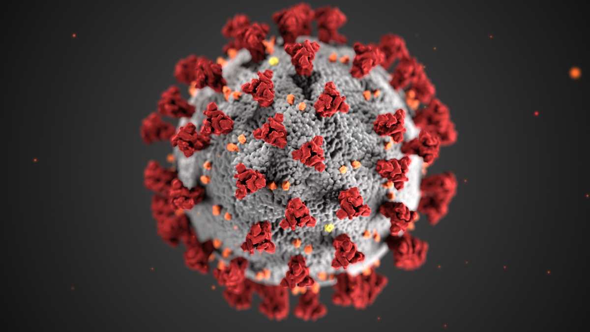 Understanding COVID-19