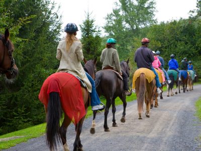 Can Horse-riding or Equine-assisted Therapy help with Chronic Pain?