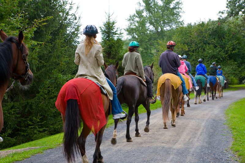 Can Horse-riding or Equine-assisted Therapy help with Chronic Pain?